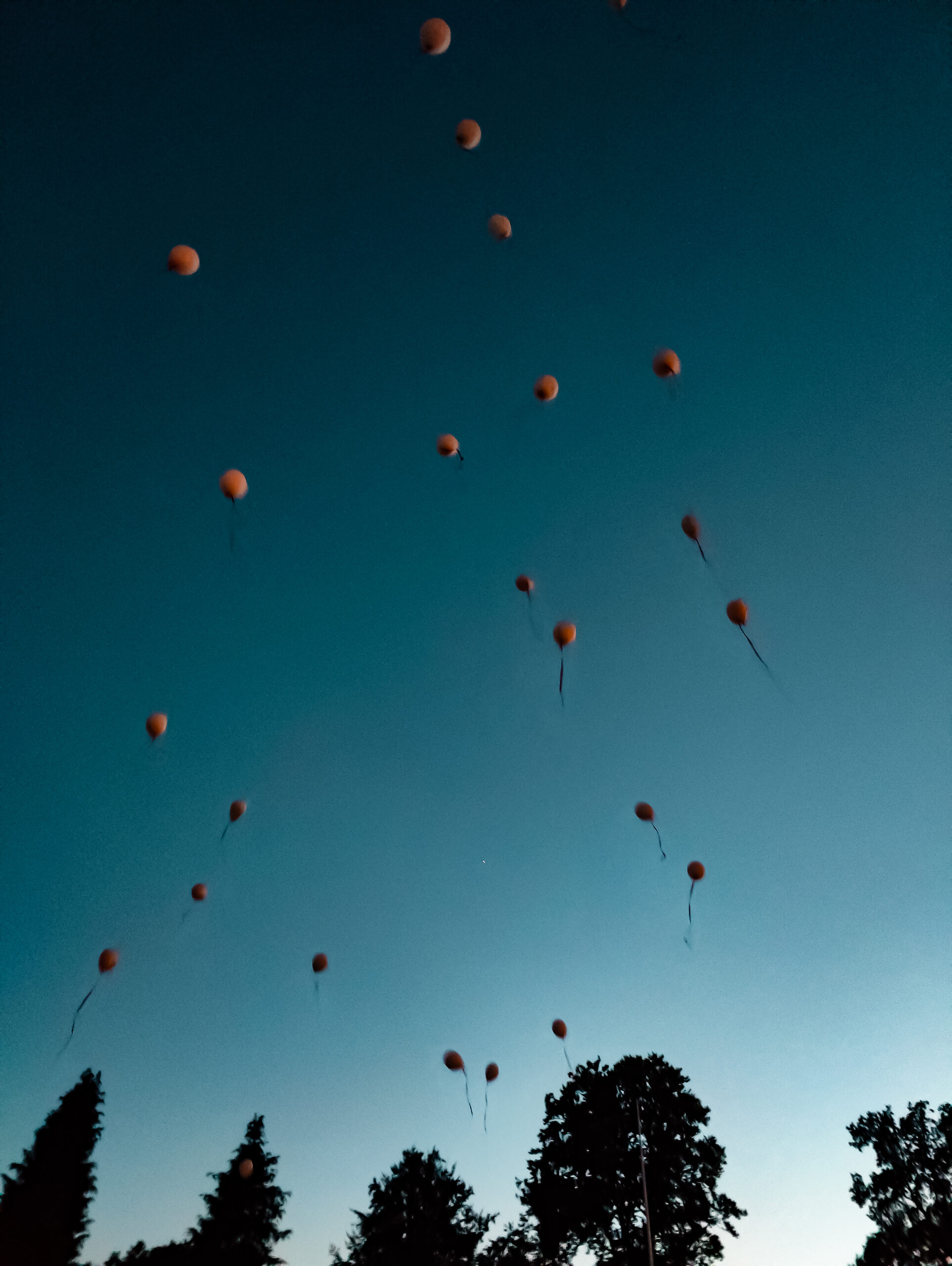oplus_1048624